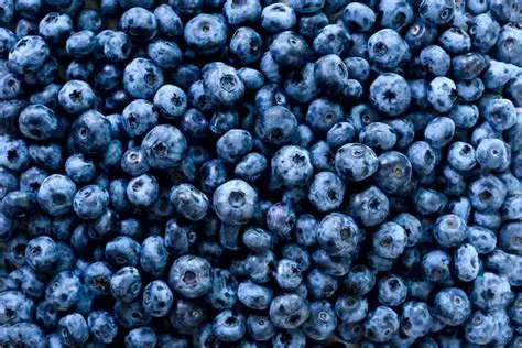 Antioxidant nutrients